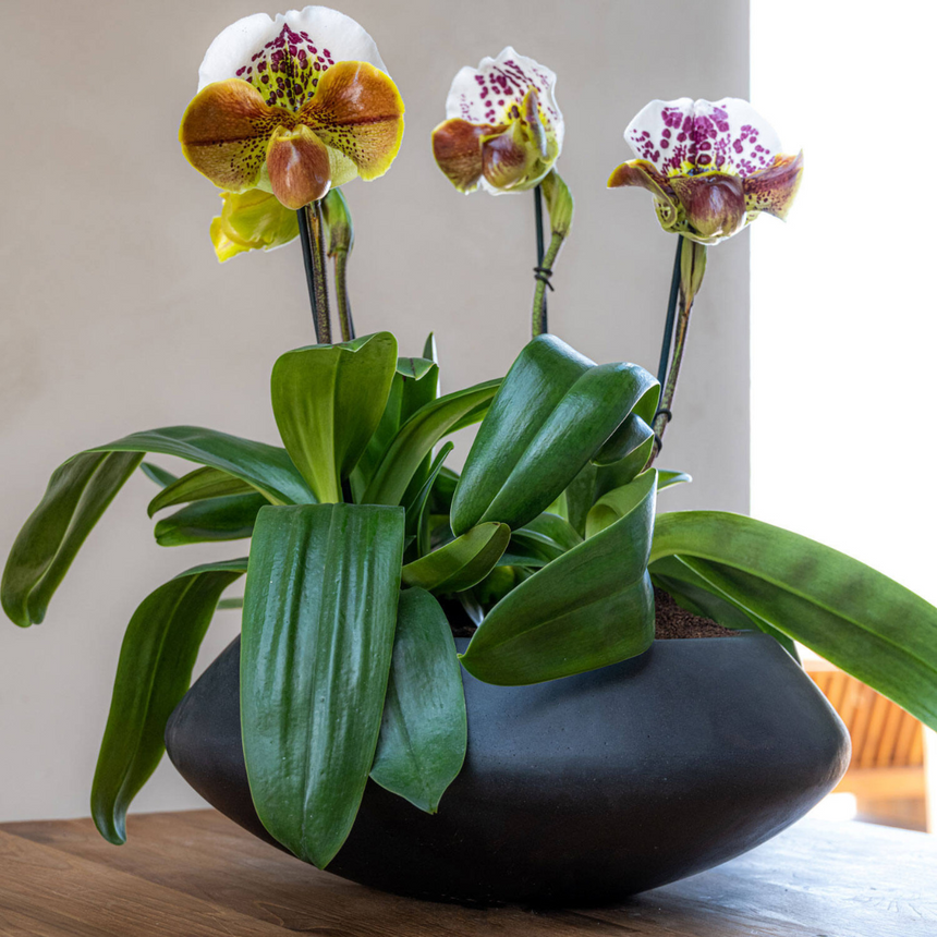 Tara stone flower pot Ø60