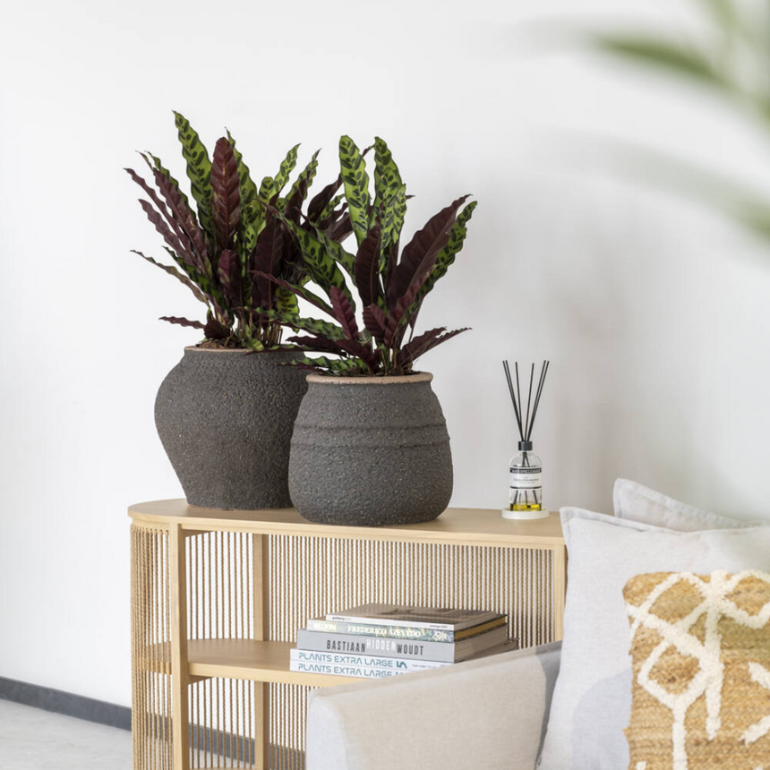 Hestia stone flower pot Ø52