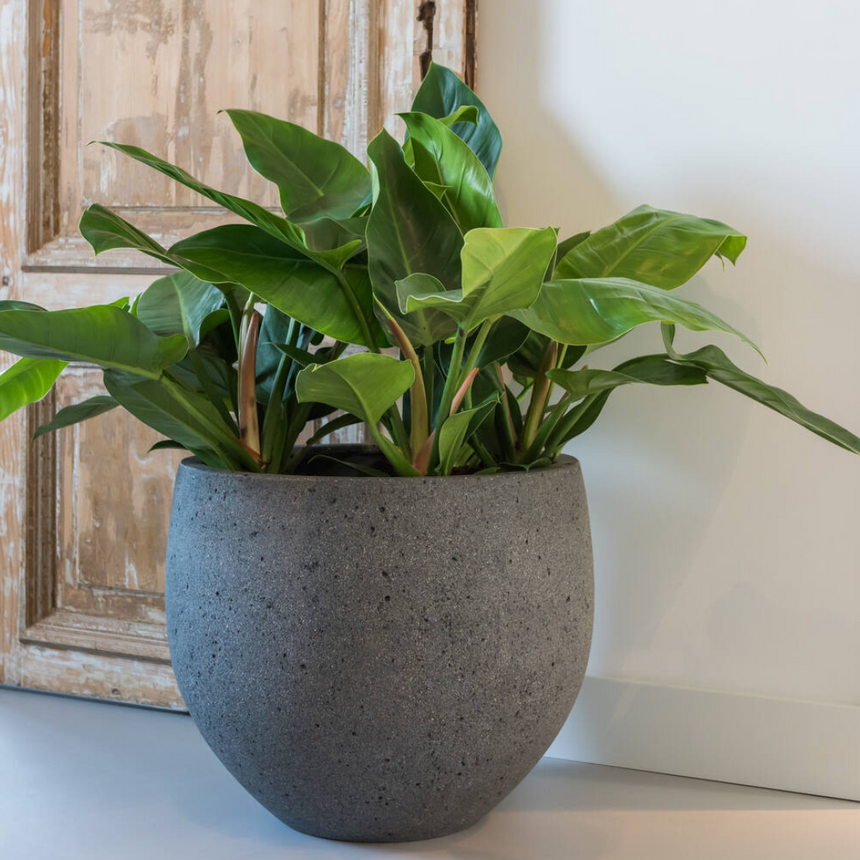 Mini Orb stone flower pot Ø32