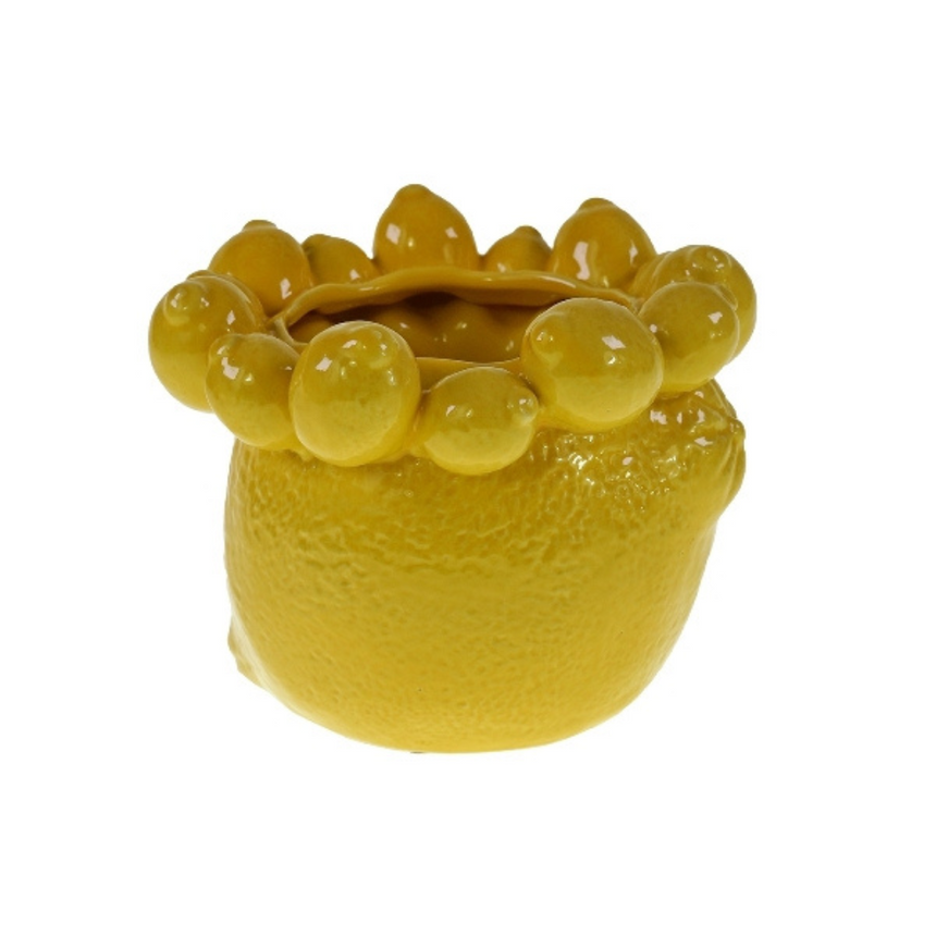 Lemon clay flower pot