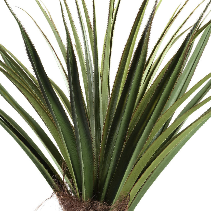 Pandanus Tree műnövény