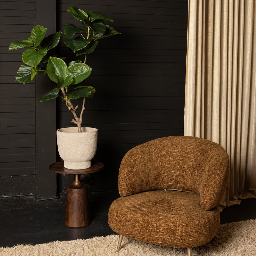 Ficus Tree műnövény