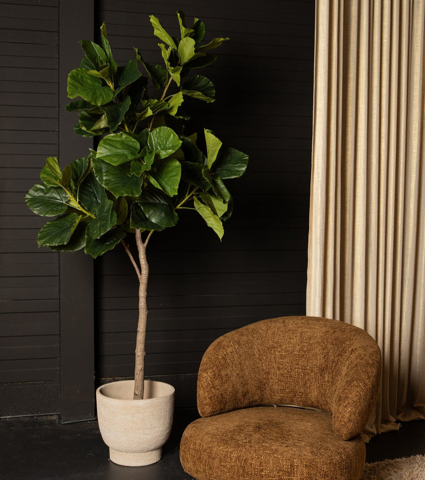 Ficus Tree műnövény