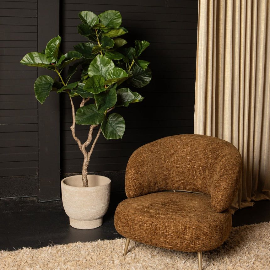 Ficus Tree műnövény