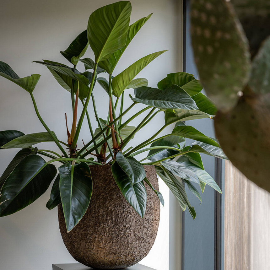 Gillard stone flower pot Ø45