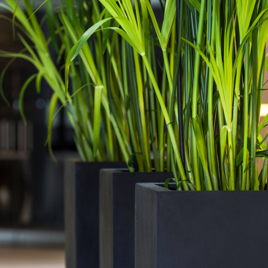 Yenn stone flower pot 25x125