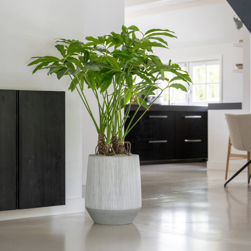 Harith High stone flower pot Ø40