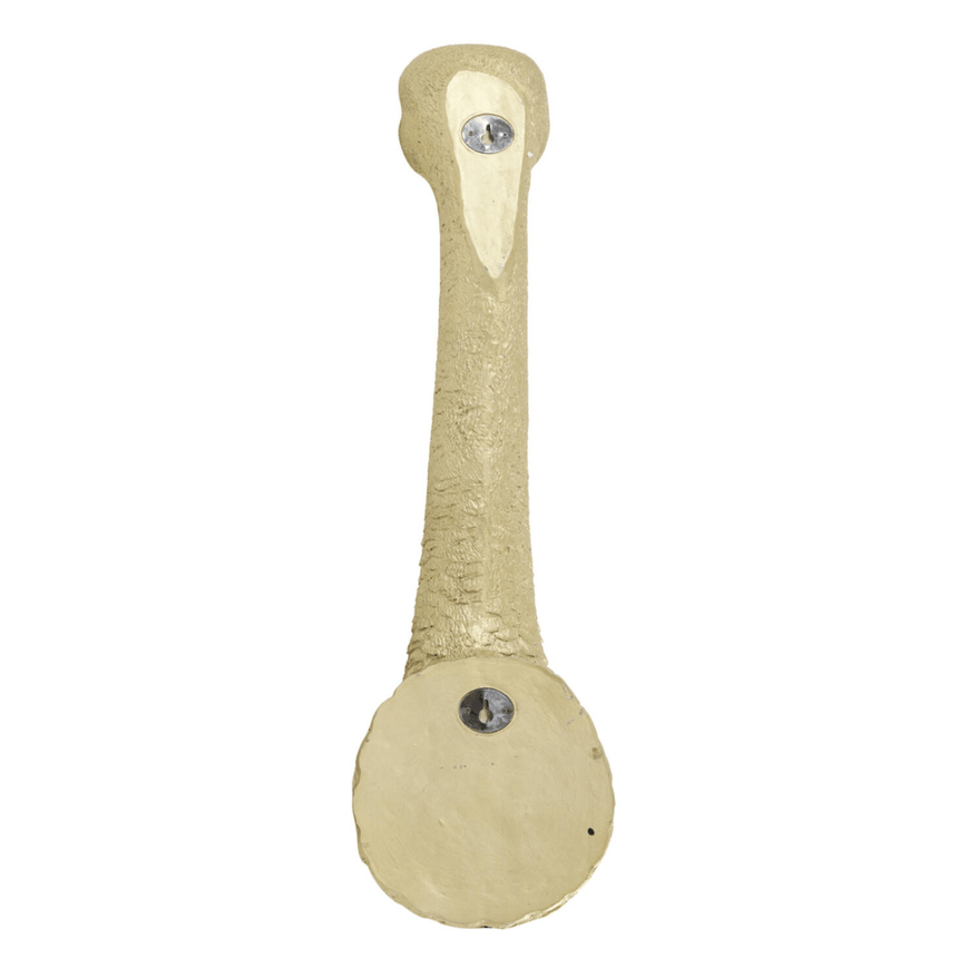 Ostrich large resin wall lamp