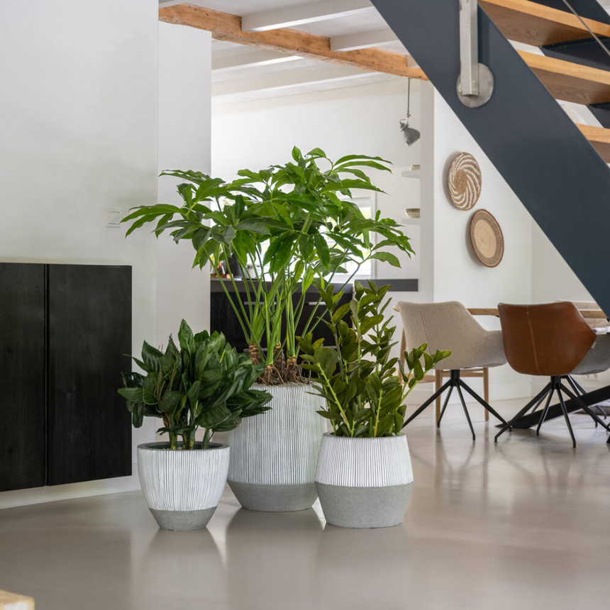 Harith High stone flower pot Ø40
