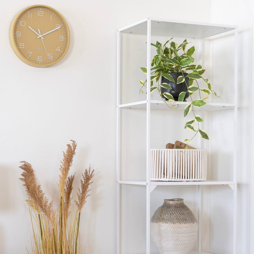 Hoya Carnosa műnövény