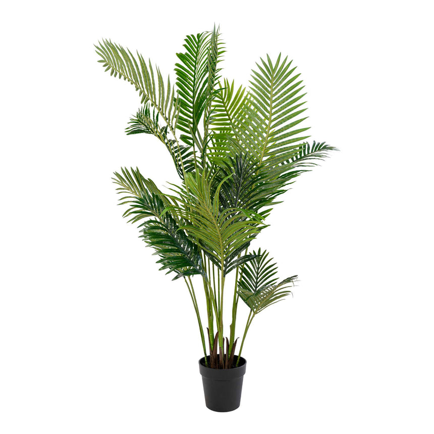 Areca Palm műnövény