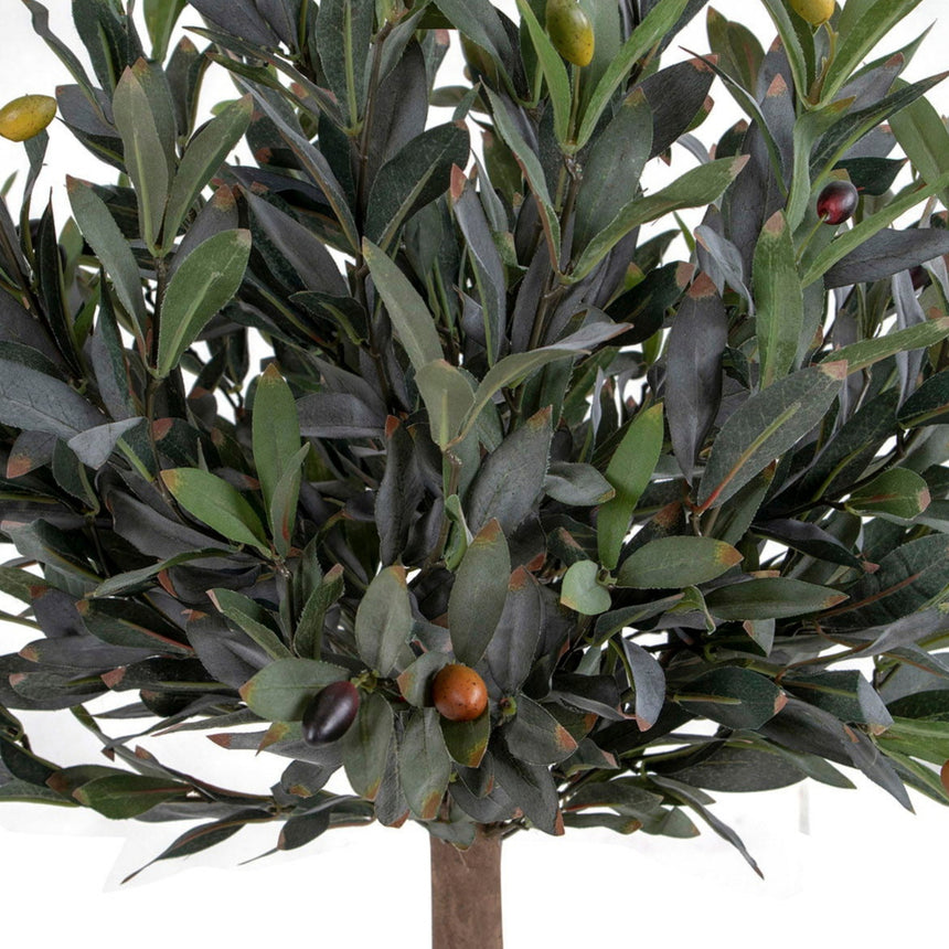 N Olive Tree műnövény