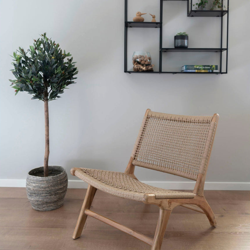 N Olive Tree műnövény