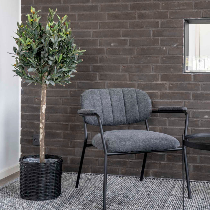 N Olive Tree műnövény