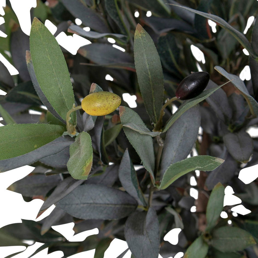 N Olive Tree műnövény