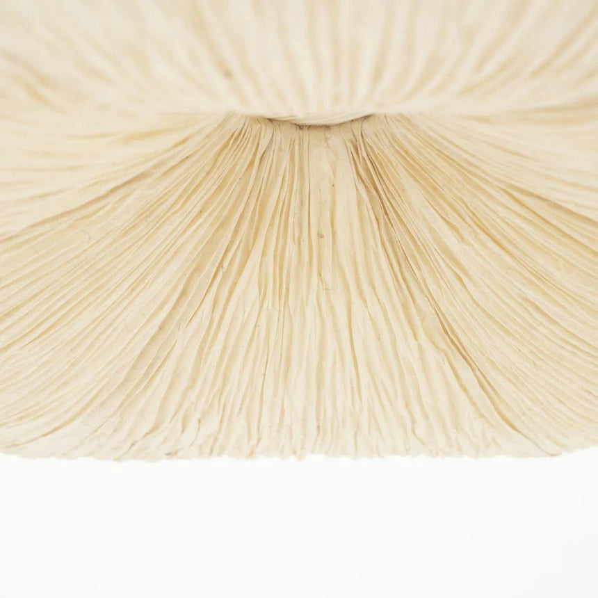 Lokta 2 paper hanging lamp