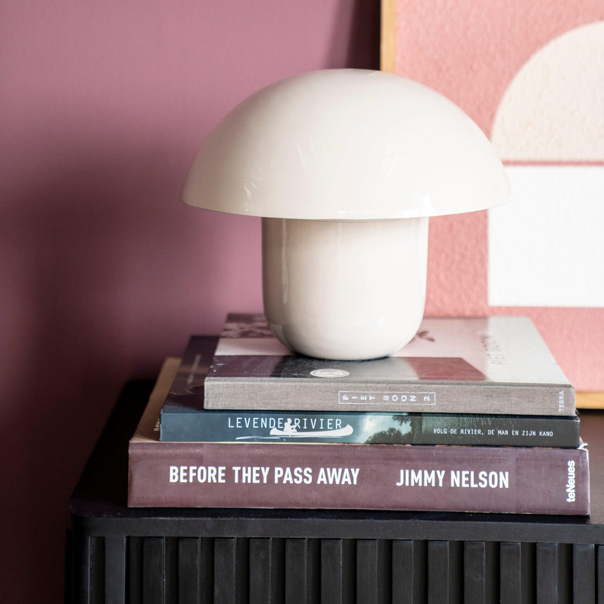 Toad fém asztali lámpa-3