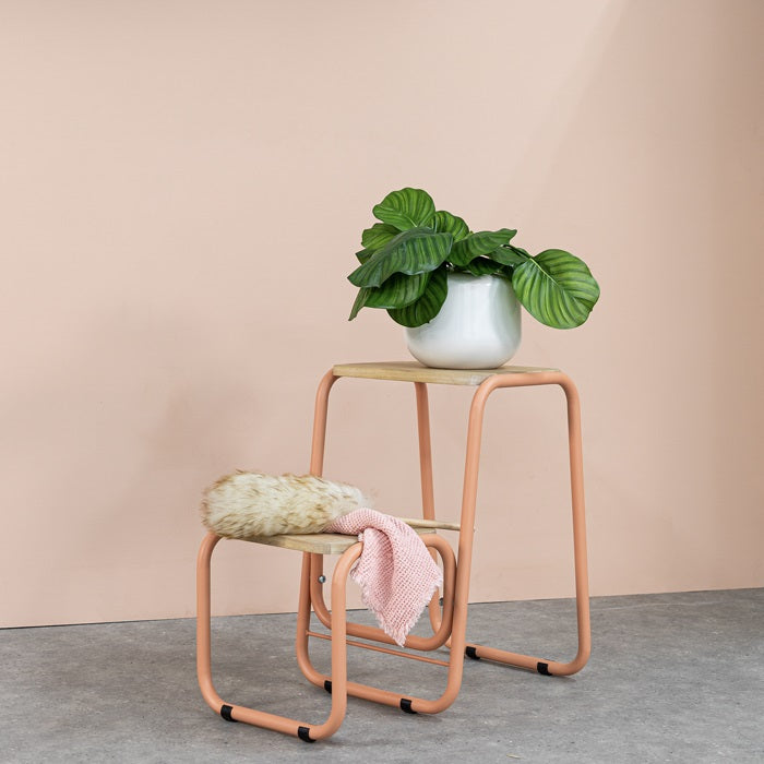 Albany wooden shoe cabinet 72x43