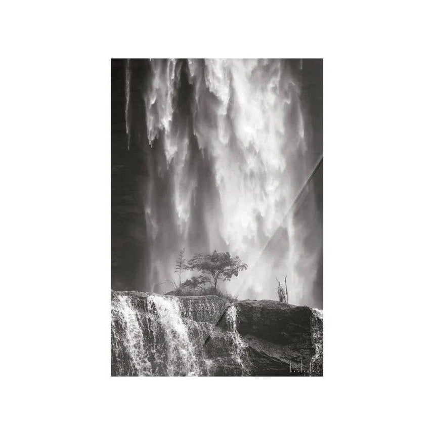 Germinate dizájn falikép