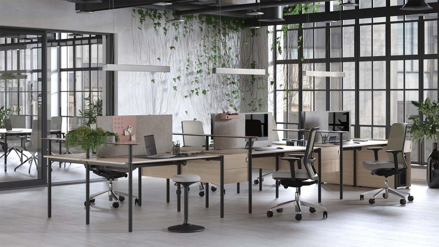 ZEDO PET asztali paraván - Dutch Home