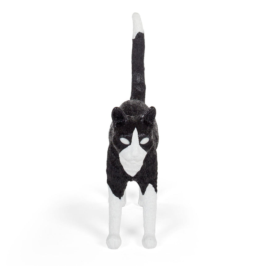 Jobby The Cat műgyanta lámpa-1