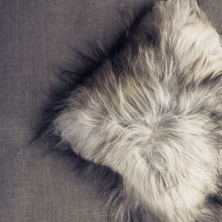 Iceland wild díszpárna-2