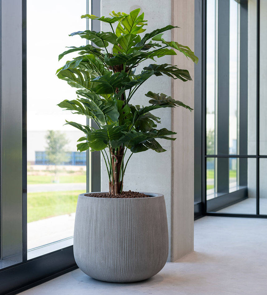 Monstera Pertusum műnövény