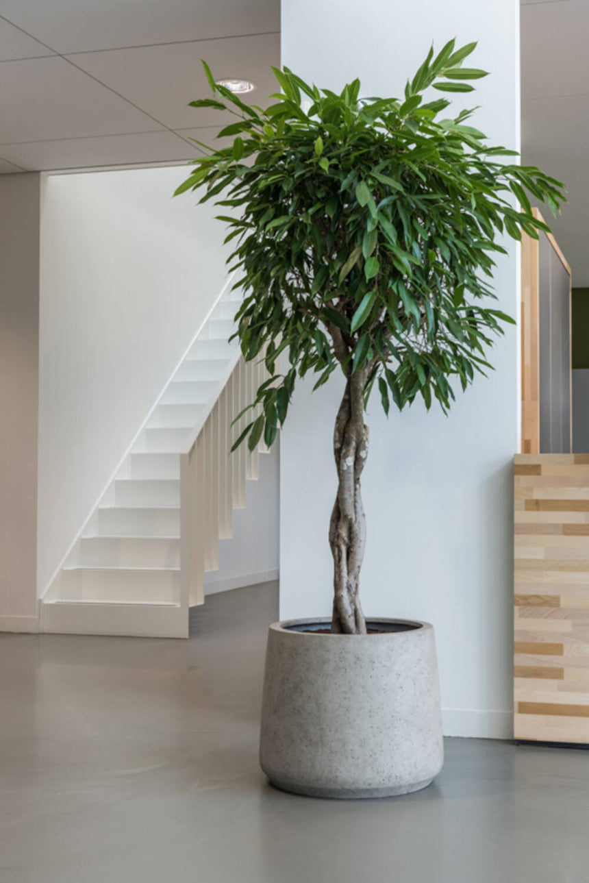 Jumbo Patt kő virágtartó Ø119