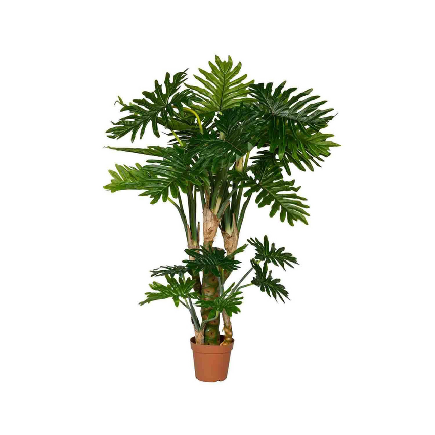 Philodendron műnövény