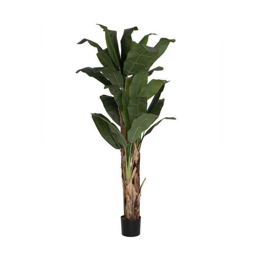 Banana tree műnövény