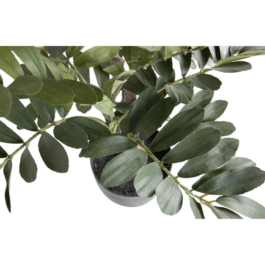 Zamia zöld műnövény 76cm-3