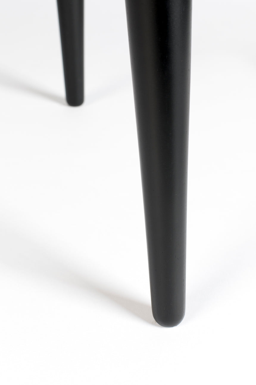 Barbier 2-door wooden cabinet