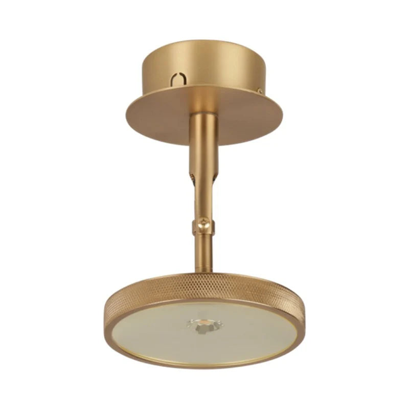 Asteria Spot fém mennyezeti lámpa