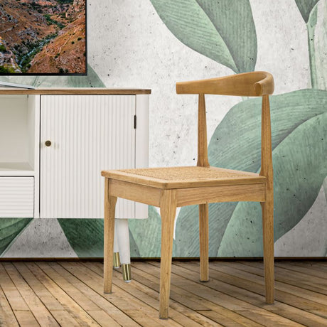 Japan Wooden Dining Chair Set