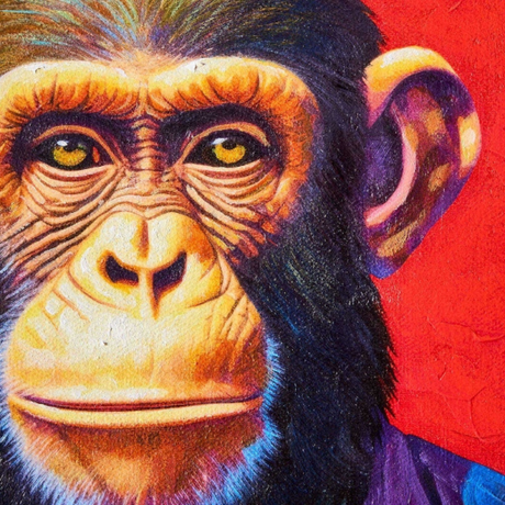 Business Monkey vászon falikép