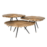 Quercus metal coffee table set