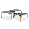 Regional marble coffee table set