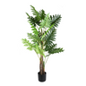 Philodendron műnövény