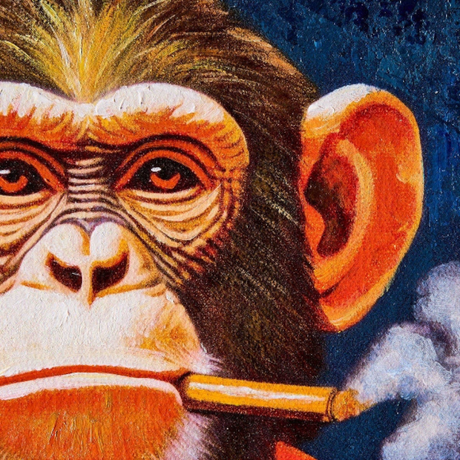 Smoking Monkey vászon falikép