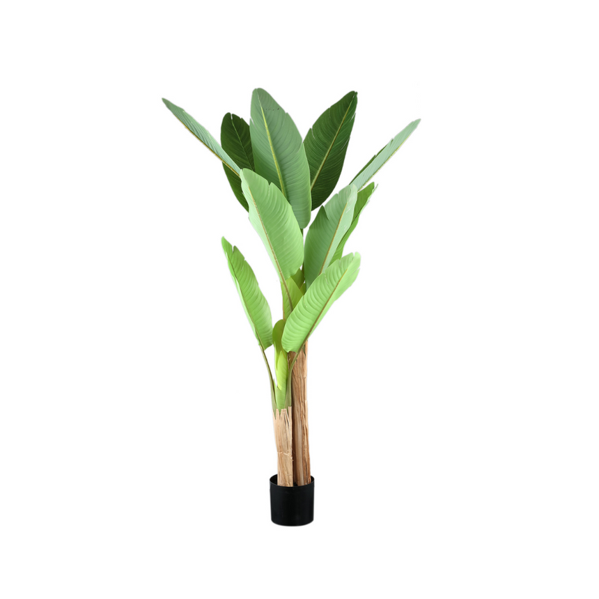 Banana Tree műnövény