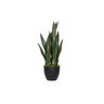 Sansevieria műnövény