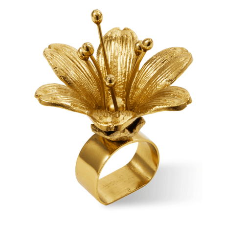 Lilly metal napkin ring set