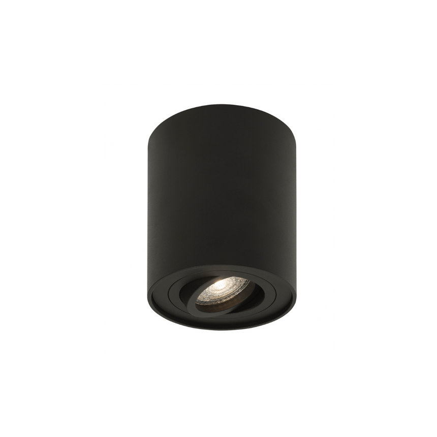 Di Moda metal ceiling lamp with black socket