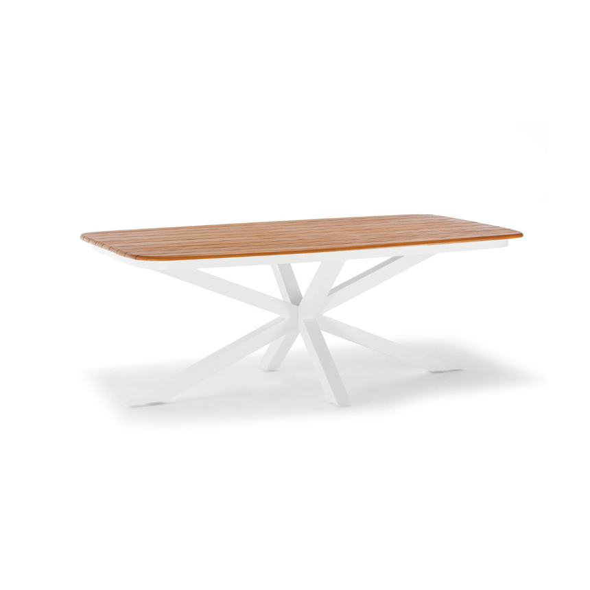 Bahamas metal garden table 220x100