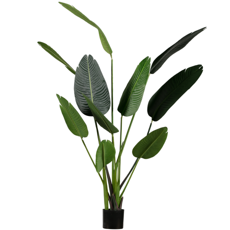 Strelitzia zöld műnövény 164 cm-0