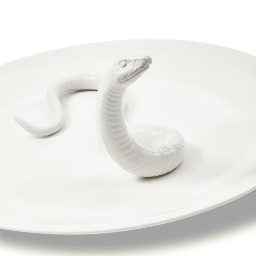 Snake ceramic bowl