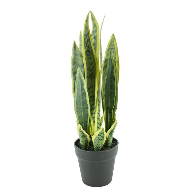 Sansevieria műnövény S-0