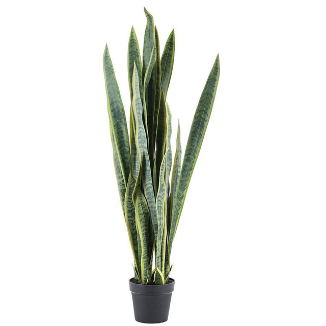 Sansevieria műnövény L-0