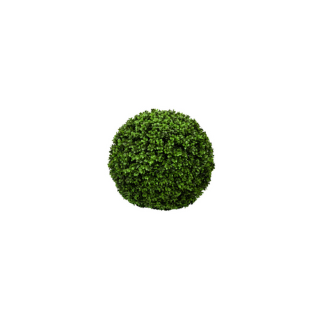 Boxwood műnövény