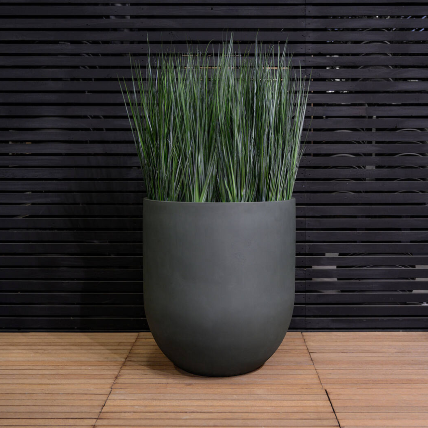 Grass in pot műnövény